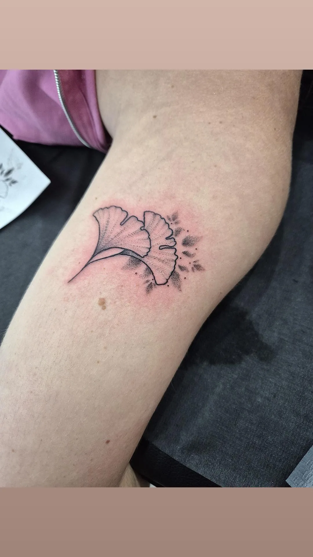 Tatouage ginkgo biloba Paris Tatouage ginkgo biloba fineline sur jambe réalisé chez Showtime Tattoo Paris Châtelet